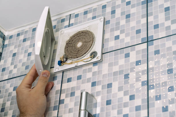 Air Duct Mold Removal in Tecumseh, MI