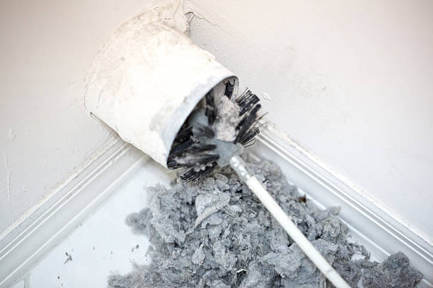 Best Air Duct Cleaning Near Me  in Tecumseh, MI