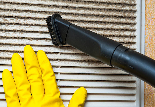 Best Professional Duct Cleaning Services  in Tecumseh, MI
